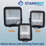 Motion Sensor Flood Light